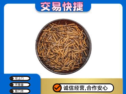 石河子市阿拉尔回收散虫草